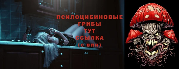 не бодяженный Алексин
