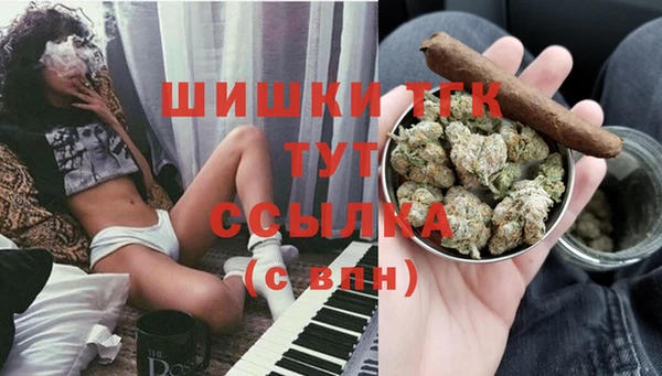 spice Алзамай